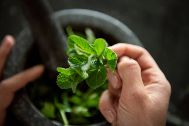 istock Grinding herbs with a mortar and pestle 1487360820