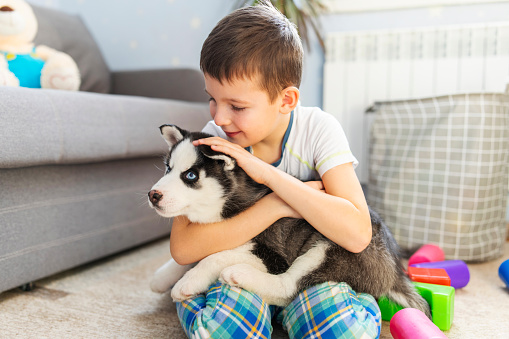A boy sitting on the floor with his husky puppy. Child hugging his pup. Animal care. Birthday Surprise