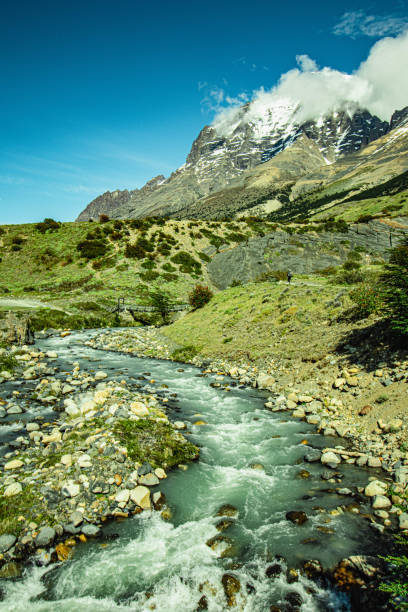istock Torres del Paine National Park 1487367542