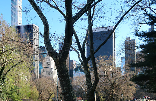 New York City as seen from the Southern edge of Central Park.