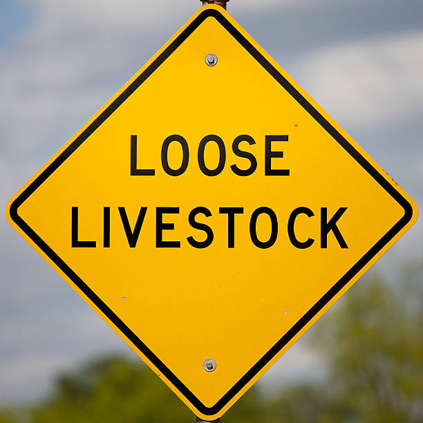 istock livestock sign 148736858