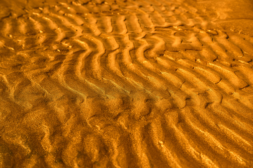 Wavy surface of the golden colored wet sand as an abstract background. Luxurious beach vacation concept. Photo in perspective with the selective focus