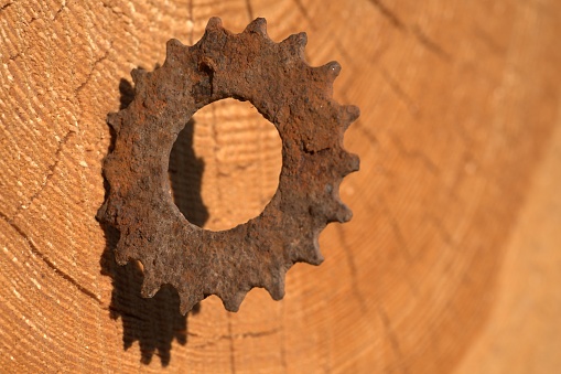 A rusty cogwheel stuck in a tree trunk, on a pile of cut down pines, as a symbol of tree destruction.