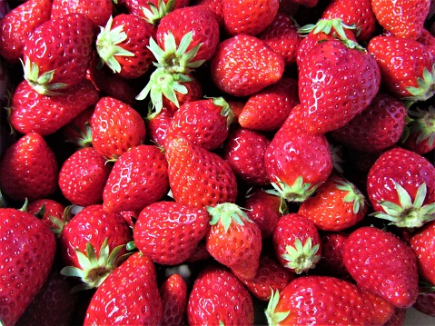Strawberry. Harvest.