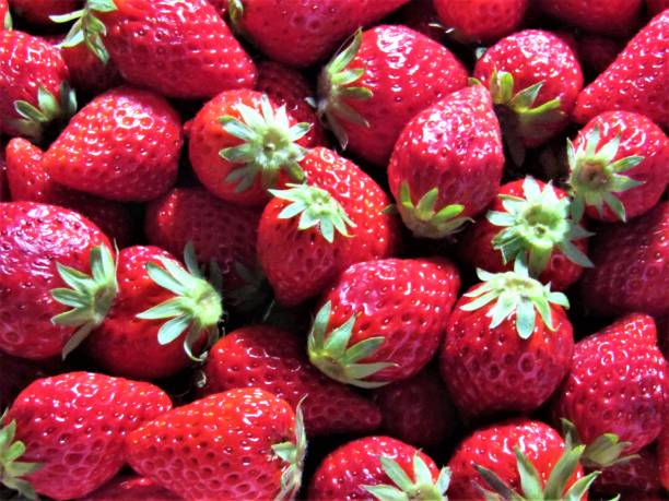 Strawberry.