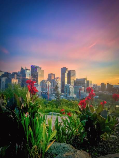 puesta de sol saturada de calgary - florida weather urban scene dramatic sky fotografías e imágenes de stock