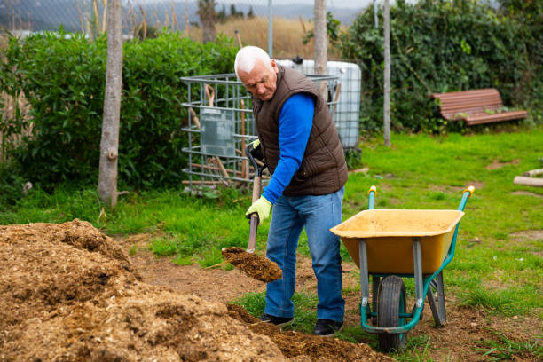 istock Mature man scattering peat shovel on garden beds 1487382191