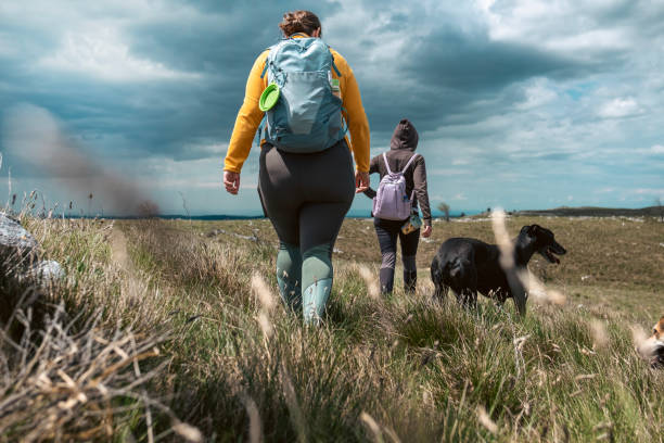 istock Hiking with a group of friends on a windy weekend 1487383059