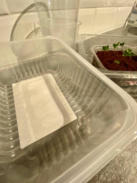 istock Grow your own in single use plastic packaging 1487383564
