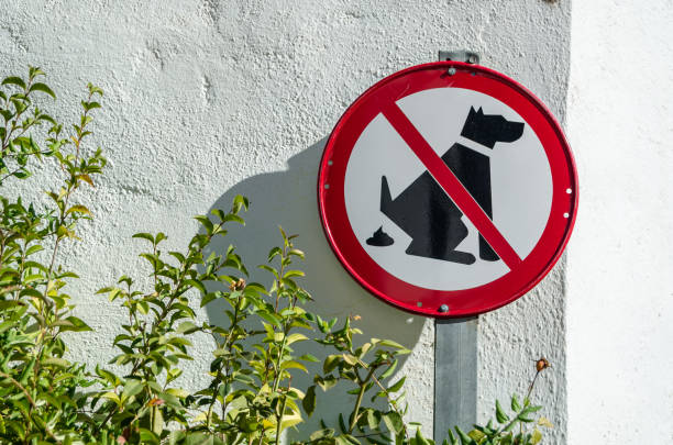 istock Prohibition sign to take pets to defecate in a park 1487384537