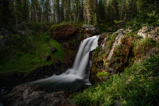Waterfall at Crawfish Creek in the Yellowstone Ecosystem in Wyoming, in western USA of North America