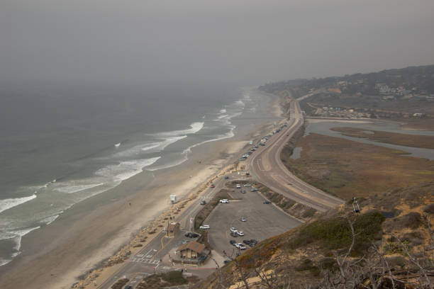 Torrey Pines State Park La Jolla, CA, USA - November 18, 2021: Views of cliffs, beach and ocean at Torrey Pines State Park. torrey pines tree stock pictures, royalty-free photos & images