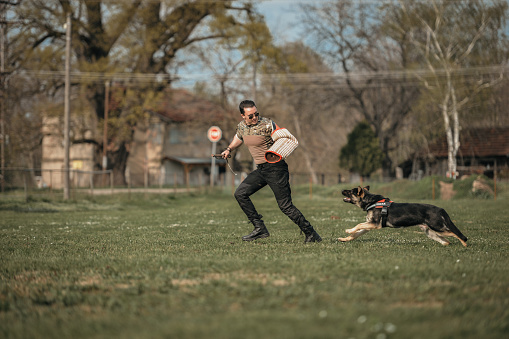 Trained police dog catching the hand of robber