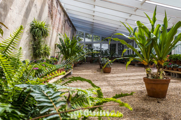 In the Greenhouse
