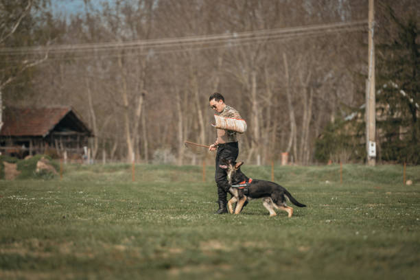 dog canine unit of the police and a police officer in uniform