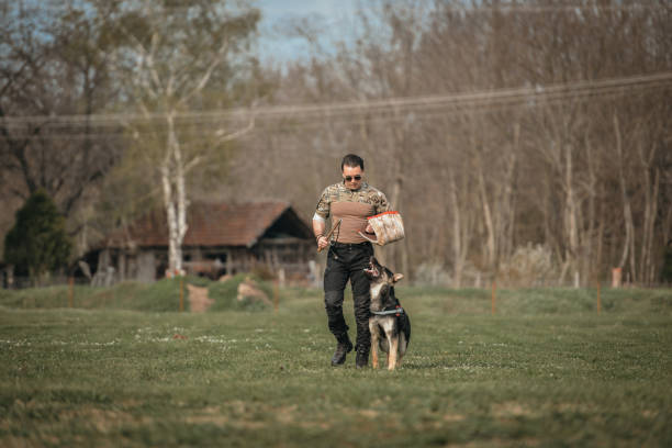 istock Training of german shepherd dog 1487395842