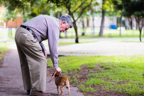 un homme âgé se penche pour tenir son animal de compagnie en laisse dans le parc à midi - pat on back photos et images de collection