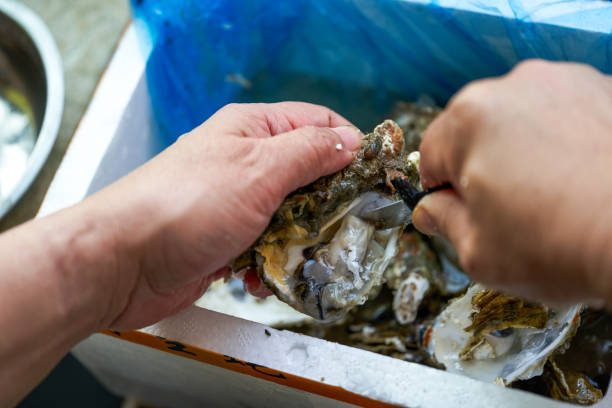 istock A chef is prying open the shells of oysters, opening the oysters 1487400145