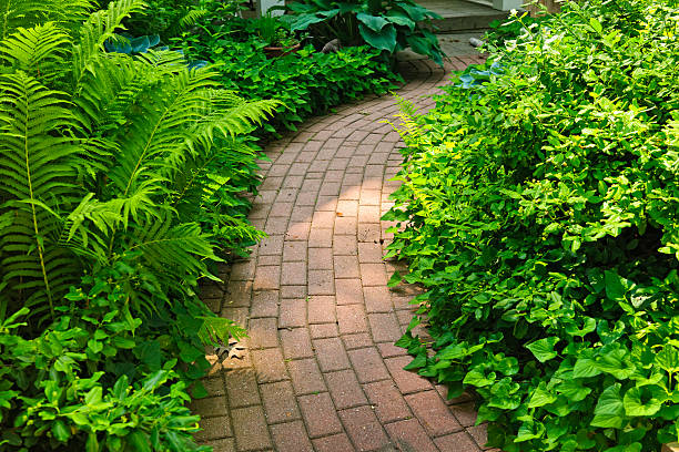 istock Brick path in landscaped garden 148740423