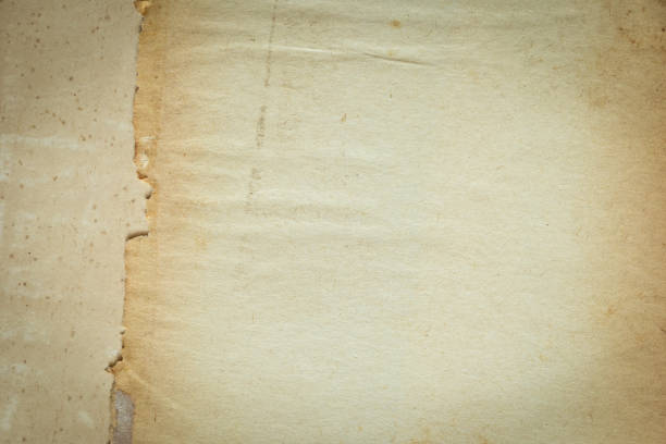 istock old vintage paper texture background, page for design 1487405105