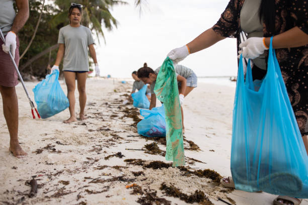 istock Environmental activists cleaning the beach 1487406399