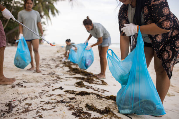 istock Environmental activists cleaning the beach 1487406441