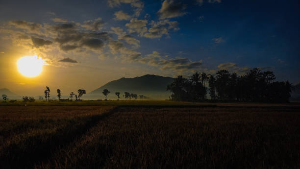 istock sunrise in the morning 1487406583