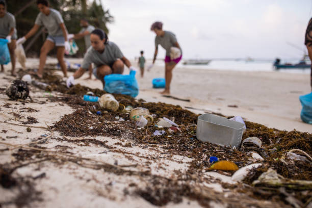 istock Volunteer activists cleaning the beach 1487407863