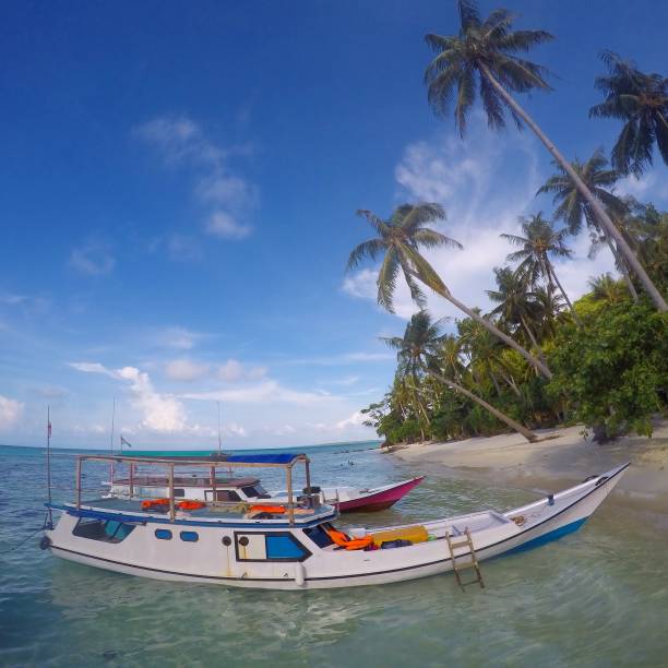 istock Karimunjawa Island 1487408697