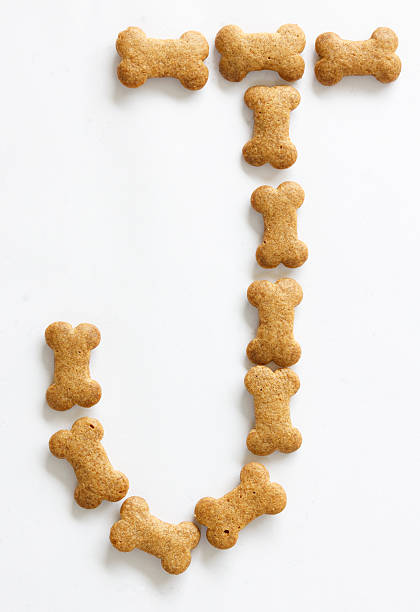 istock Bone Shape Dog food Letter J 148741047