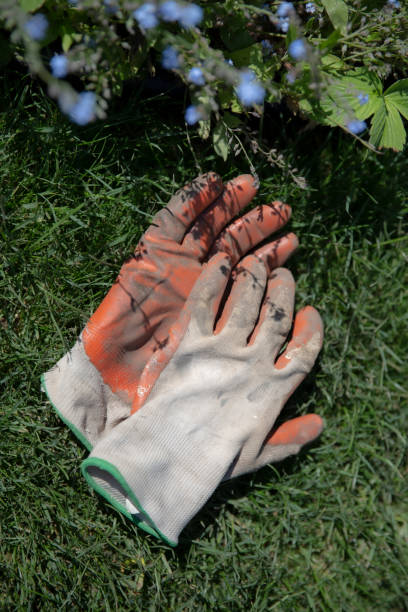 istock Gloves in Grass with Flowers 1487414139