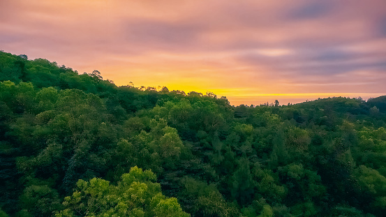 Beautiful view of the sky and forest at sunset.