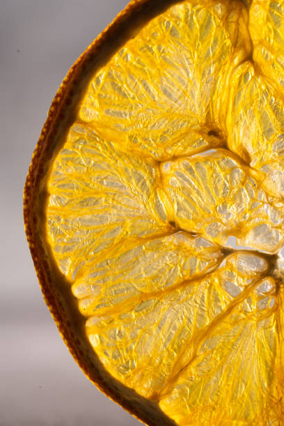 istock Dried orange slices on vintage background 1487425386