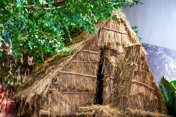 istock Closeup of primitive thatched houses and doors in the forest 1487429570