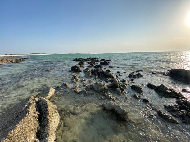 istock Beaches  Masirah Island in Oman 1487429887