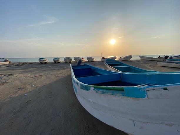 istock Beaches  Masirah Island in Oman 1487430005