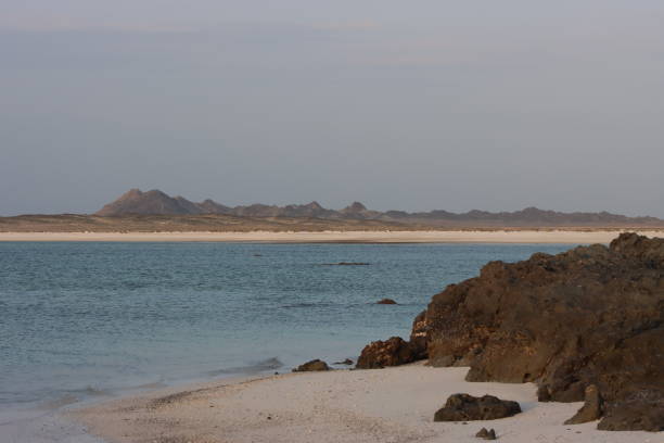 istock Beaches  Masirah Island in Oman 1487430045