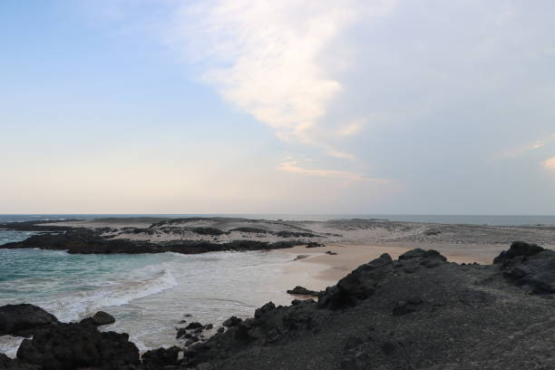 istock Beaches  Masirah Island in Oman 1487430640