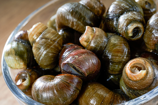 Close-up of a bowl of escargot, snail rice noodle ingredients