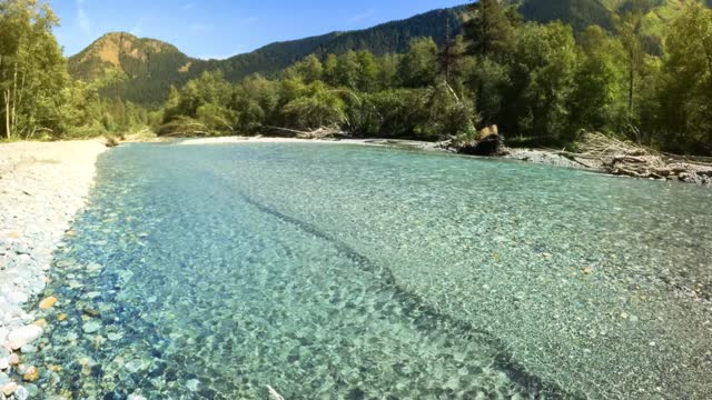 mountain forest river with clear water at summertime sunny day - loop video