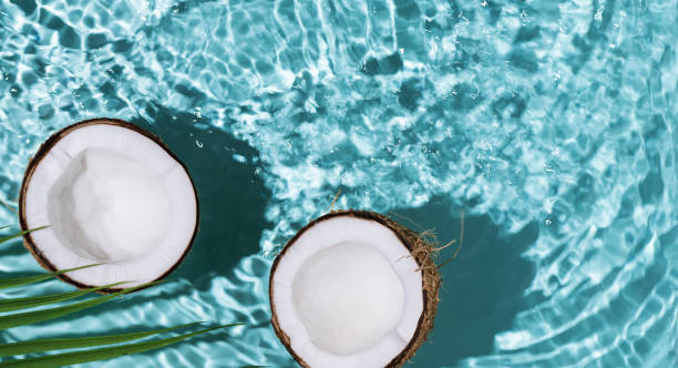 istock Summer background with coconuts on water background with water splashes. 1487433147
