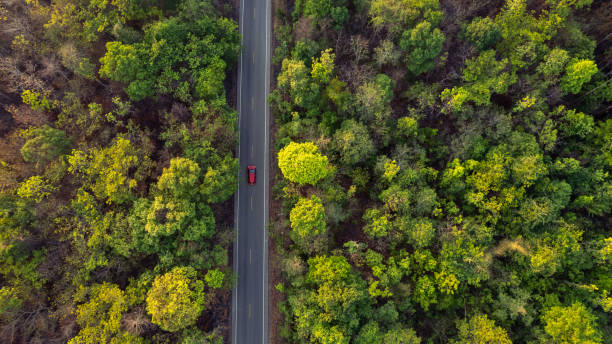 istock Top view countryside path trough forest with car travel adventure. 1487433227