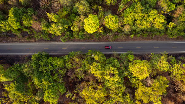 istock Top view countryside path trough forest with car adventure. 1487433243