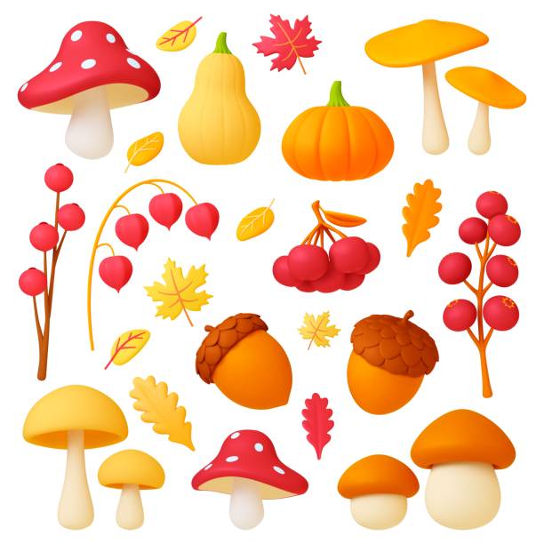 jesienne elementy 3d, opadające liście, dekoracyjne obiekty natury. grzyby, realistyczne żołędzie plastelinowe, gałęzie jagodowe i dynie. liść klonu zwięzły zestaw wektorowy - mushroom forest tree area fungus stock illustrations