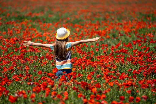 A little girl with a hat and raised arms is crossing through a field full of red flowers