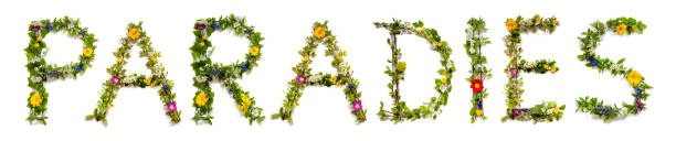 istock Colorful Flowers Building Word Paradies, Isolated Background 1487436408