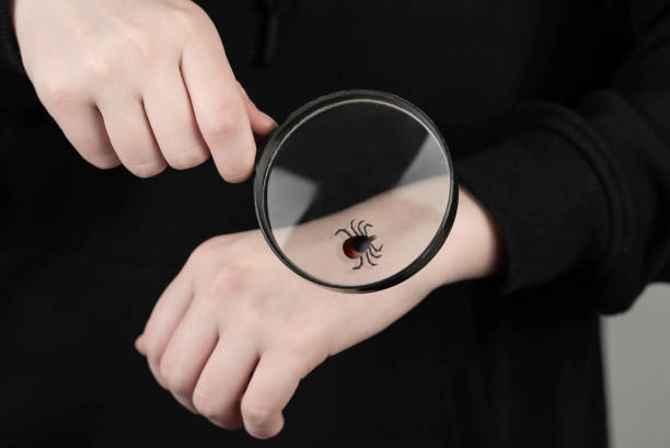 istock The tick crawls on the hand. Tick on hand under magnifying glass. 1487436523