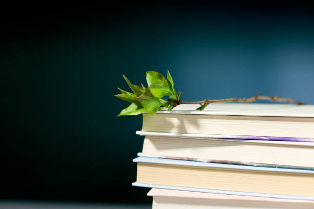 istock Stack of books with branch green leaves, World book day 1487440653