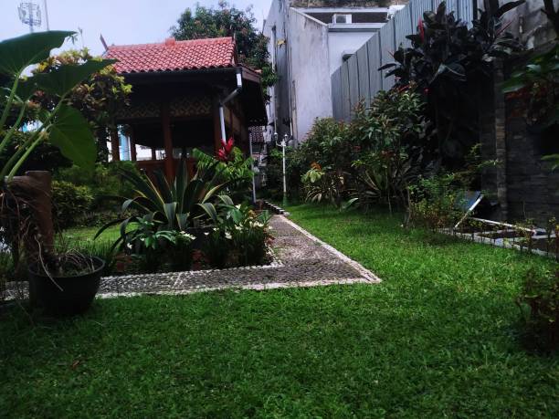 istock Yard with green grass and some plants 1487441595