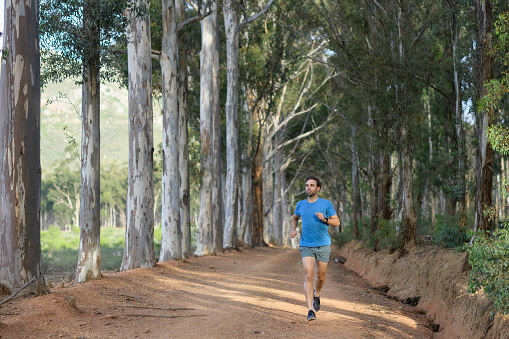 Male mid adult fit strong runner running together on a gravel road in a eucalyptus forest, Stellenbosch, South Africa.